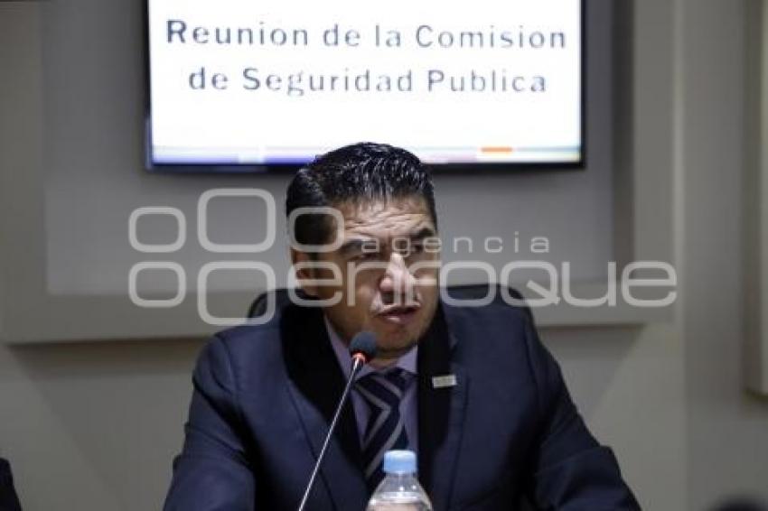 CONGRESO . COMISIÓN SEGURIDAD