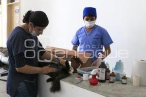 JORNADA DE ESTERILIZACIÓN