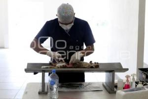 JORNADA DE ESTERILIZACIÓN