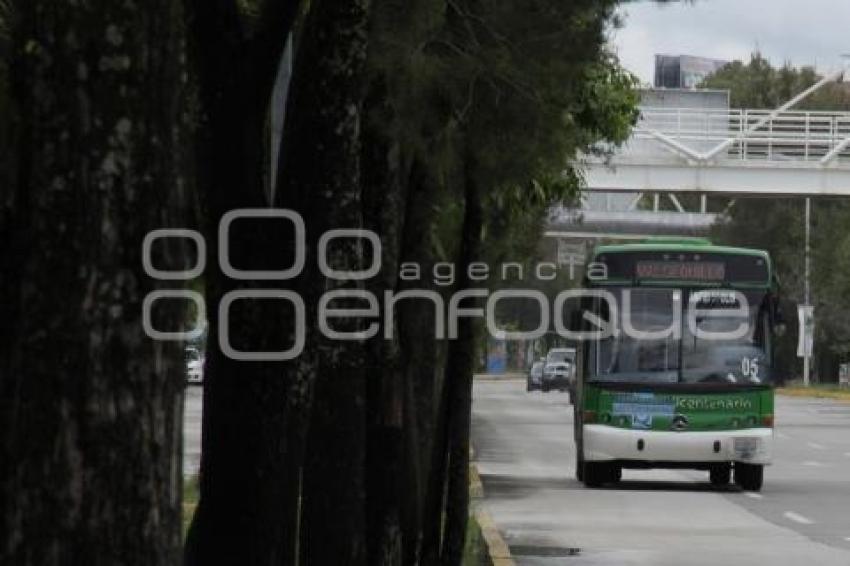 TRANSPORTE PÚBLICO