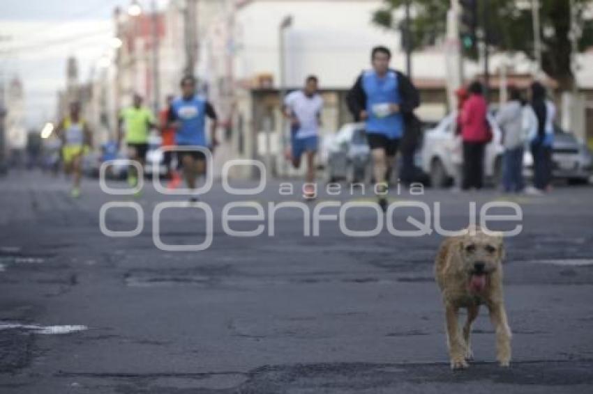 IMSS . CARRERA 5K