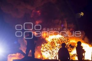 TOMA CLANDESTINA - PALMAR DE BRAVO