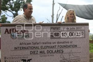 AFRICAM . NACE ELEFANTE AFRICANO