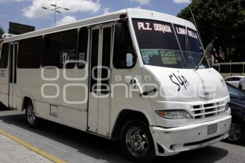 TRANSPORTE PÚBLICO