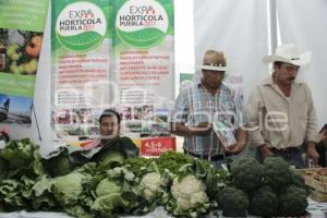 FERIA DE PRODUCTORES POBLANOS