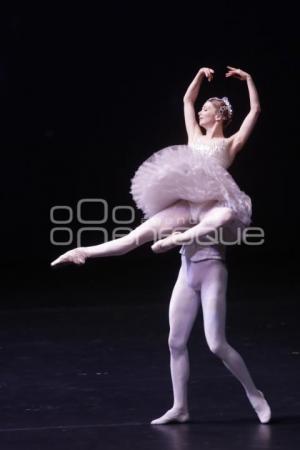 BALLET . ELISA CARRILLO