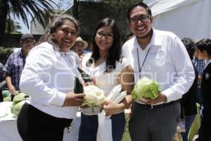 FERIA DE PRODUCTORES POBLANOS