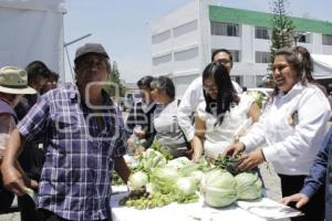 FERIA DE PRODUCTORES POBLANOS