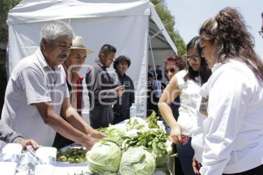 FERIA DE PRODUCTORES POBLANOS