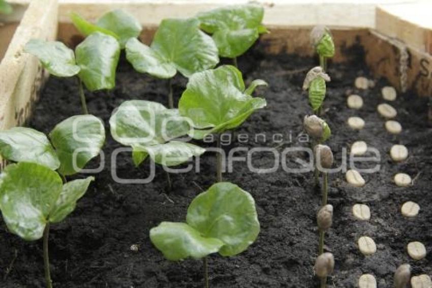 FERIA DE PRODUCTORES POBLANOS