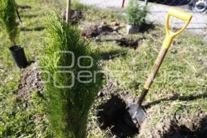 REFORESTANDO PUEBLA