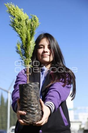 REFORESTANDO PUEBLA