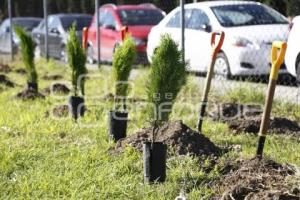 REFORESTANDO PUEBLA