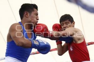 BOX DE LOS BARRIOS