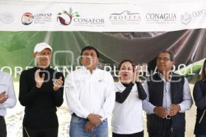 REFORESTANDO PUEBLA