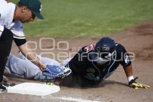 BÉISBOL . PERICOS VS SARAPEROS