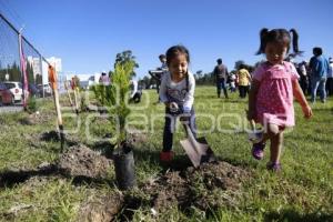 REFORESTANDO PUEBLA