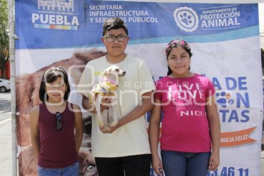 JORNADA DE ADOPCIÓN CANINA