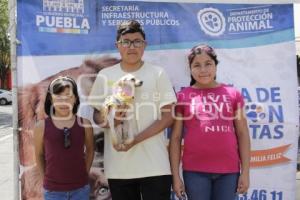 JORNADA DE ADOPCIÓN CANINA