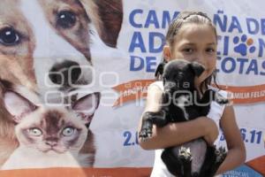 JORNADA DE ADOPCIÓN CANINA