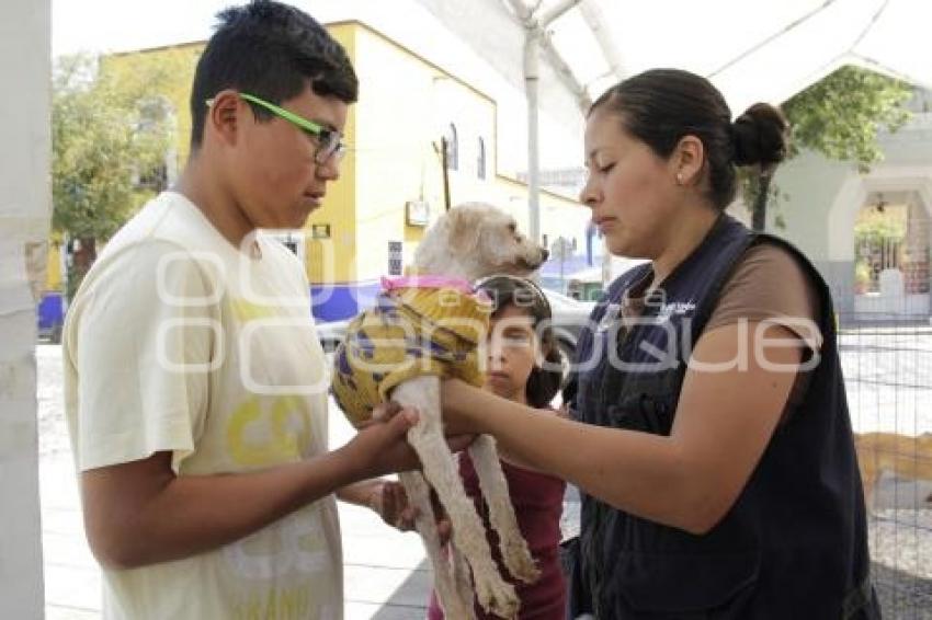 JORNADA DE ADOPCIÓN CANINA