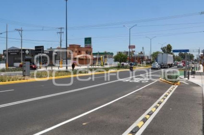 REHABILITACIÓN BULEVAR FORJADORES