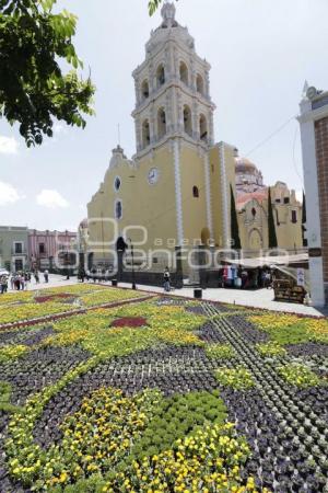 ATLIXCO . TAPETE MONUMENTAL