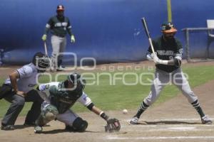 BÉISBOL . PERICOS VS LEONES