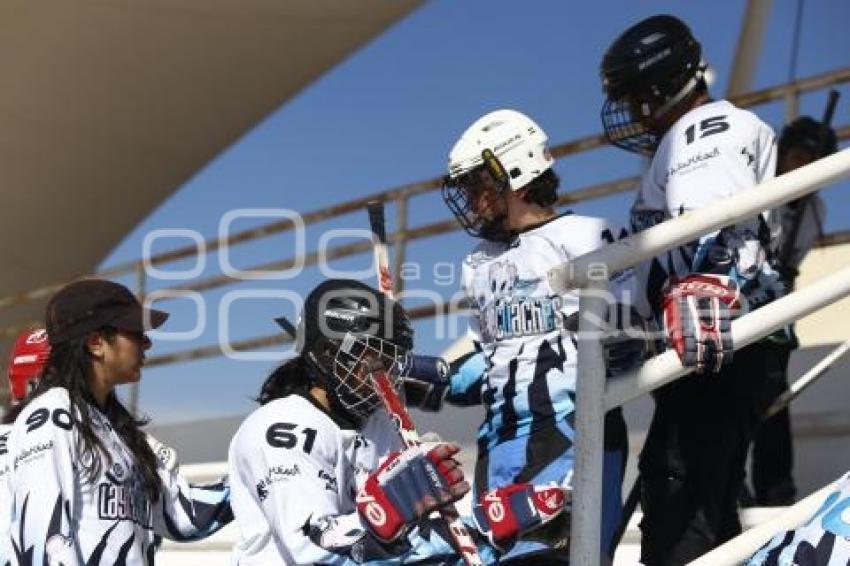 NACIONAL DE HOCKEY EN PATINES