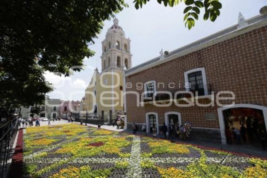 ATLIXCO . TAPETE MONUMENTAL