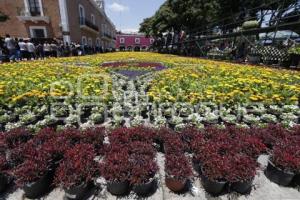 ATLIXCO . TAPETE MONUMENTAL