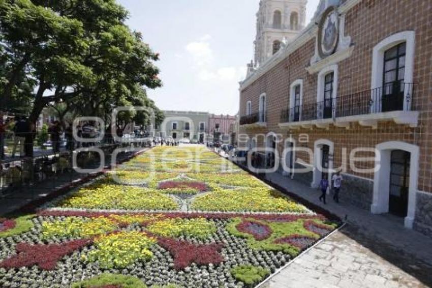 ATLIXCO . TAPETE MONUMENTAL