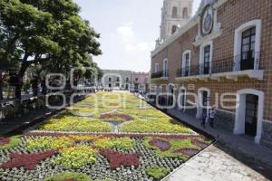 ATLIXCO . TAPETE MONUMENTAL