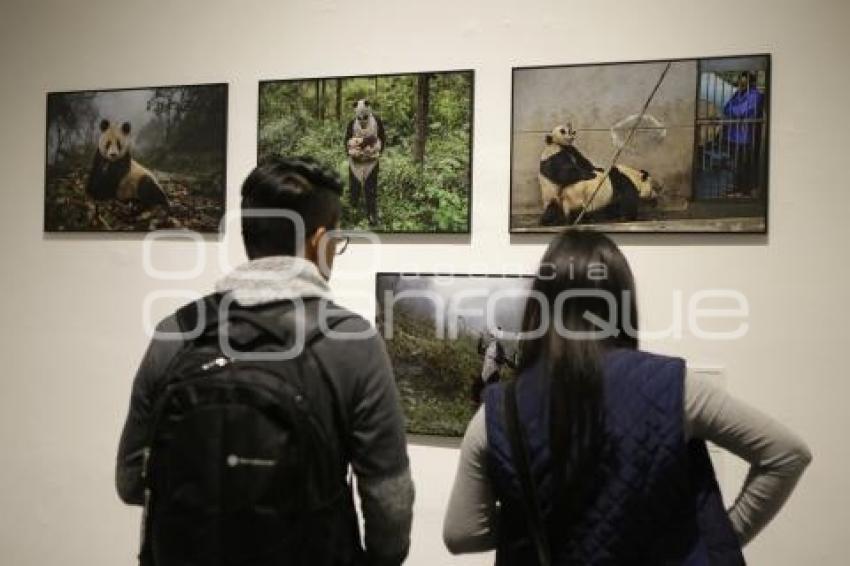 EXPOSICIÓN WORLD PRESS PHOTO 2017