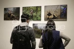 EXPOSICIÓN WORLD PRESS PHOTO 2017