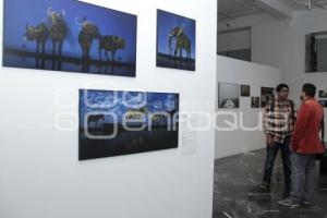 EXPOSICIÓN WORLD PRESS PHOTO 2017