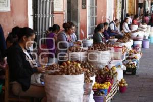 FERIA DEL CHILE EN NOGADA . CHOLULA