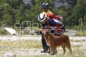 CRUZ ROJA . RESCATE CANINO