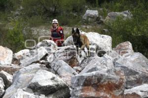 CRUZ ROJA . RESCATE CANINO