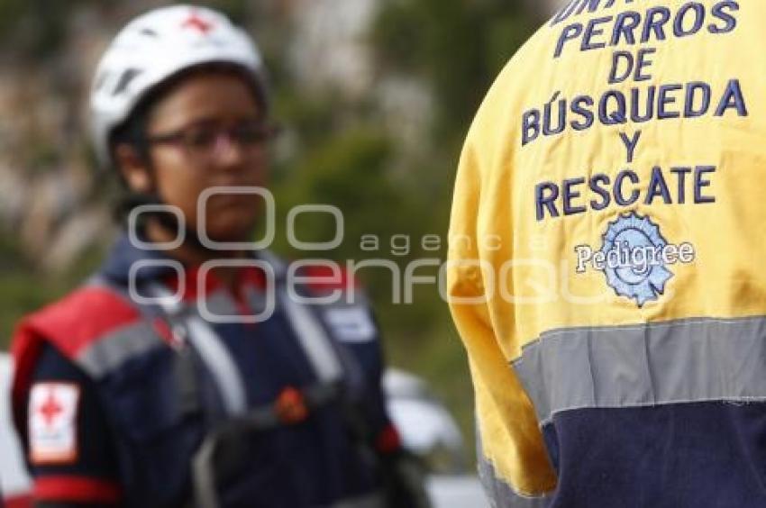 CRUZ ROJA . RESCATE CANINO