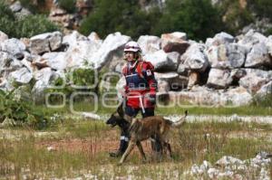 CRUZ ROJA . RESCATE CANINO