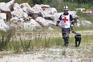 CRUZ ROJA . RESCATE CANINO