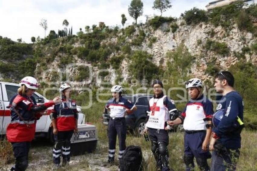 CRUZ ROJA . RESCATE CANINO