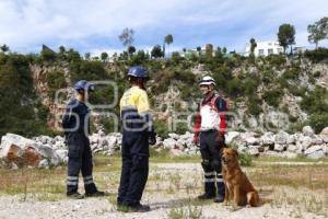 CRUZ ROJA . RESCATE CANINO