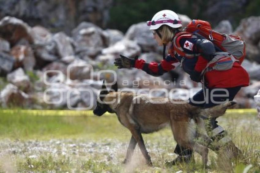 CRUZ ROJA . RESCATE CANINO