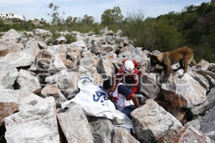 CRUZ ROJA . RESCATE CANINO