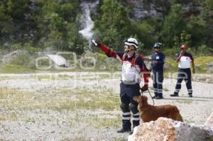 CRUZ ROJA . RESCATE CANINO