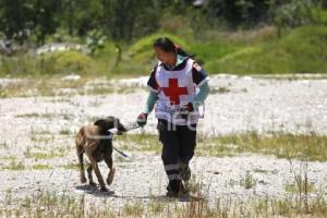 CRUZ ROJA . RESCATE CANINO