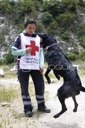 CRUZ ROJA . RESCATE CANINO