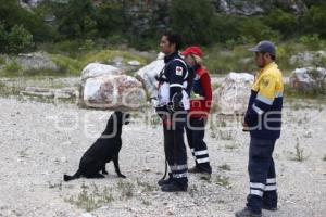 CRUZ ROJA . RESCATE CANINO